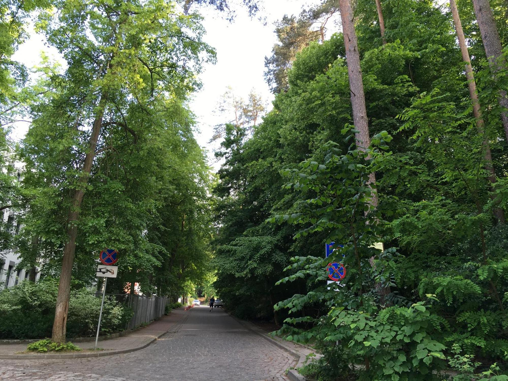Przytulny Apartament Blisko Lasu Z Szybkim Wi-Fi Sopot Zewnętrze zdjęcie